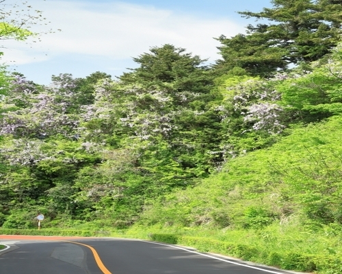 日の出町-秩父丹沢の玄関口、豊かな自然と農業遺産に抱かれる町