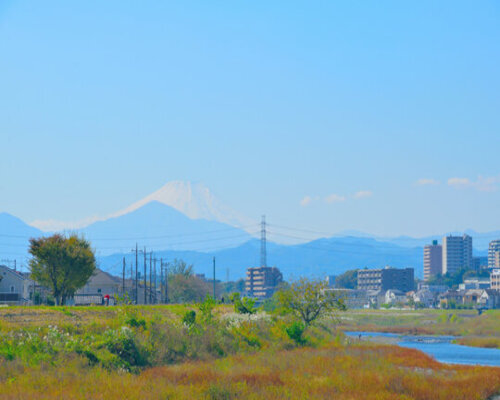 日野市～緑豊かな自然と歴史ある街並みが融合する魅力の都市～