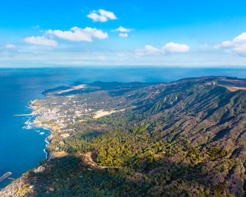 大島町-小笠原諸島の自然と文化の宝庫