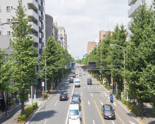 杉並区-緑と歴史が調和する都市型快適生活圏